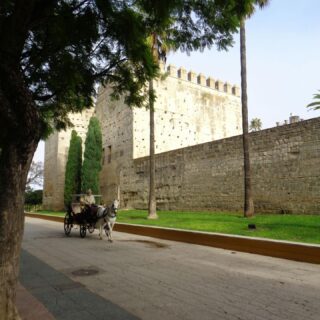 Andalucia Fresco Tours