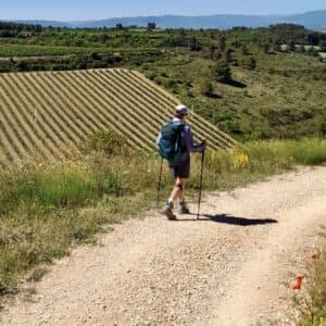 Entering La Rioja wine country on the Camino de Santiago.